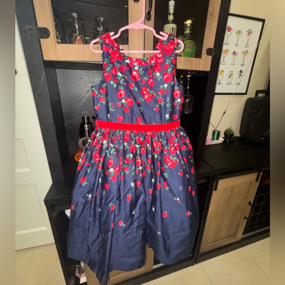 American girl Janie and Jack Wrapped in Roses Party Dress